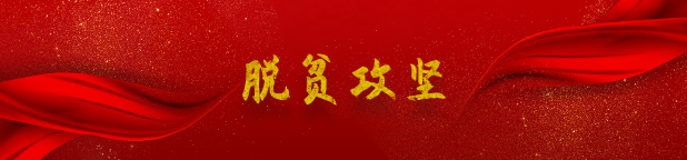 脱贫攻坚