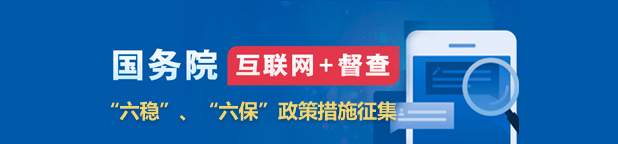 国务院互联网+督查