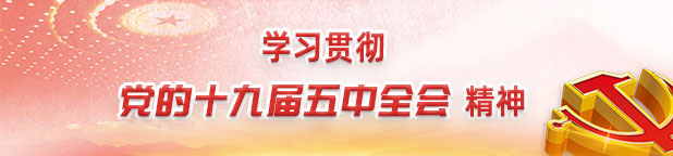学习贯彻党的十九届五中全会精神