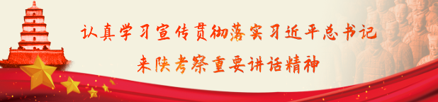习近平总书记来陕考察