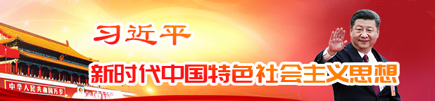 习近平新时代中国特色社会主义思想宣传