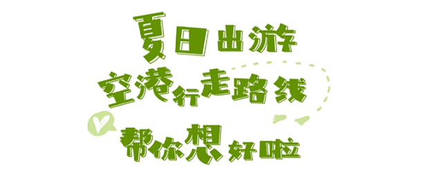 夏天，就到这里来