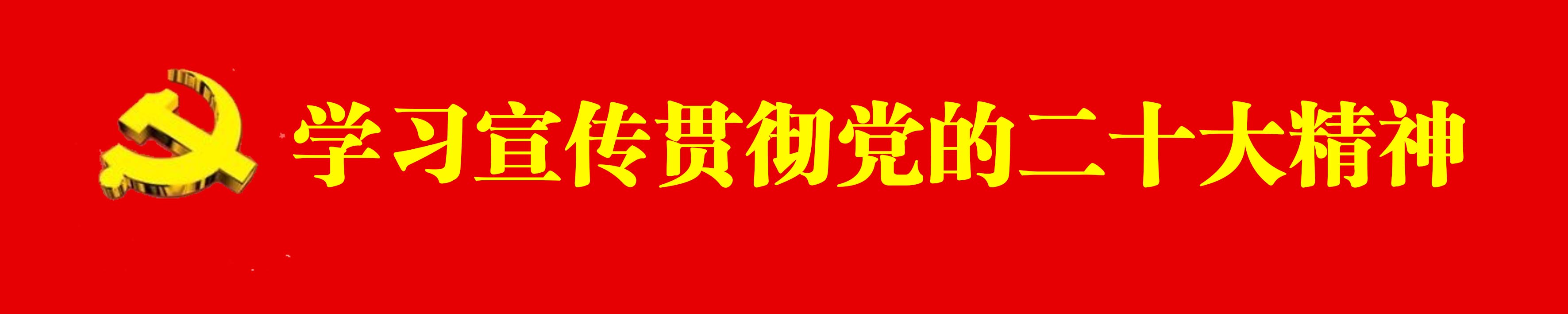 学习宣传贯彻党的二十大精神